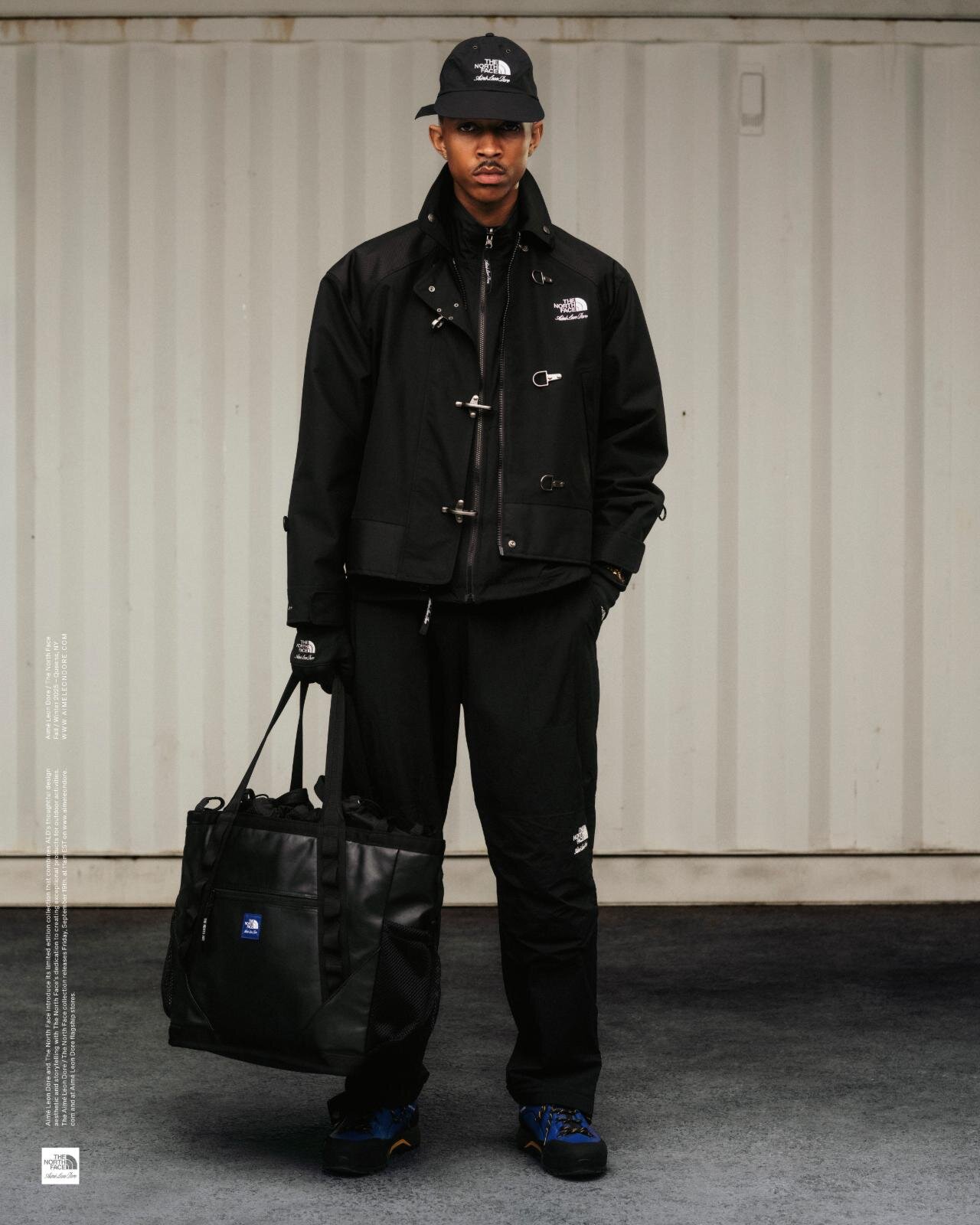 ザ・ノース・フェイス(THE NORTH FACE) ヌプシ デナリ｜写真6