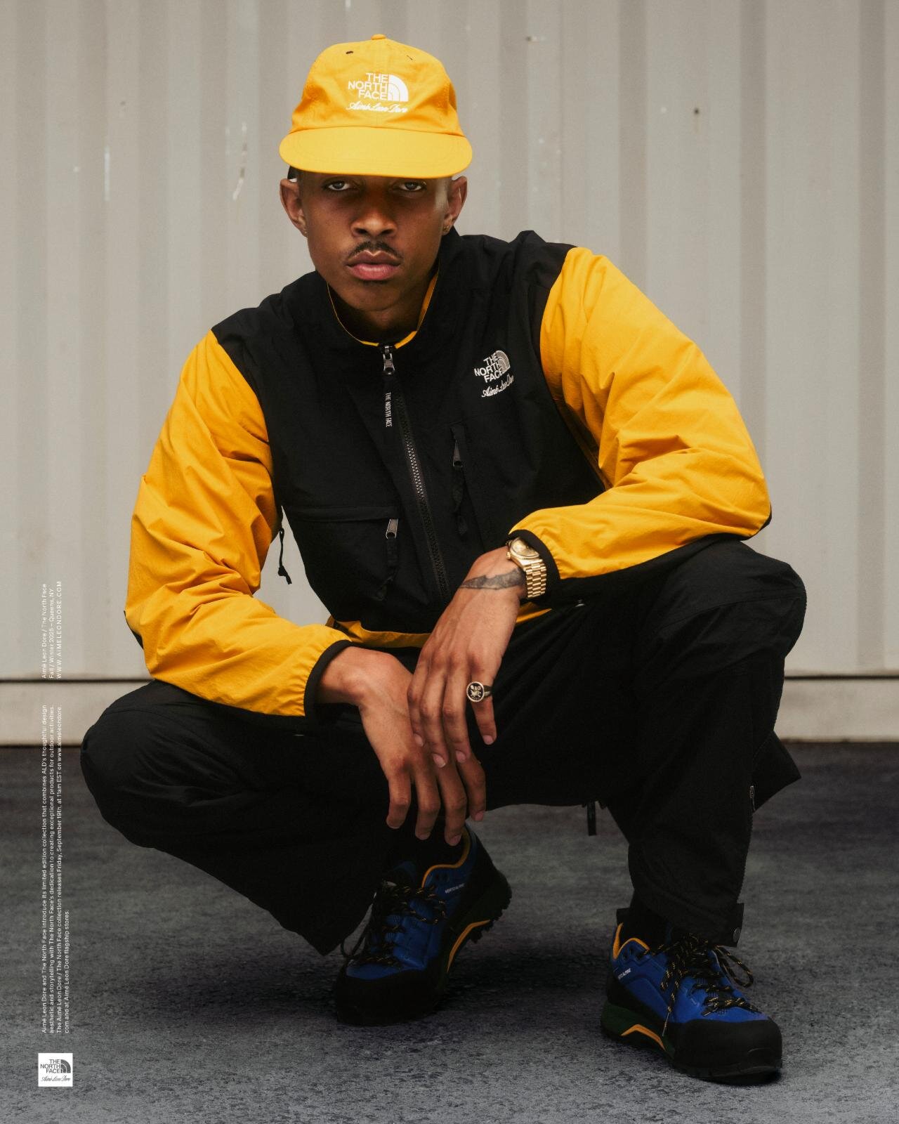 ザ・ノース・フェイス(THE NORTH FACE) ヌプシ デナリ｜写真10
