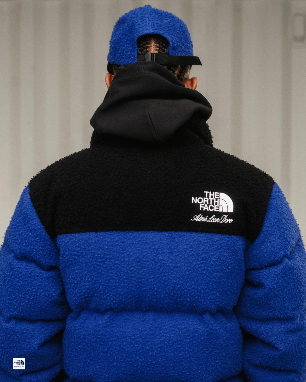 ザ・ノース・フェイス(THE NORTH FACE) ヌプシ デナリ｜写真20