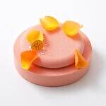 ハイアット リージェンシー 東京25年クリスマス、“隠れトナカイ”チョコムース＆ロングショートケーキ｜写真10