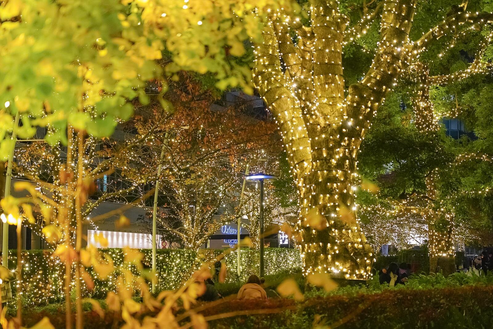 東京ミッドタウン“しゃぼん玉＆雪”が舞う25年クリスマスイルミネーション、屋外スケートリンクも｜写真5