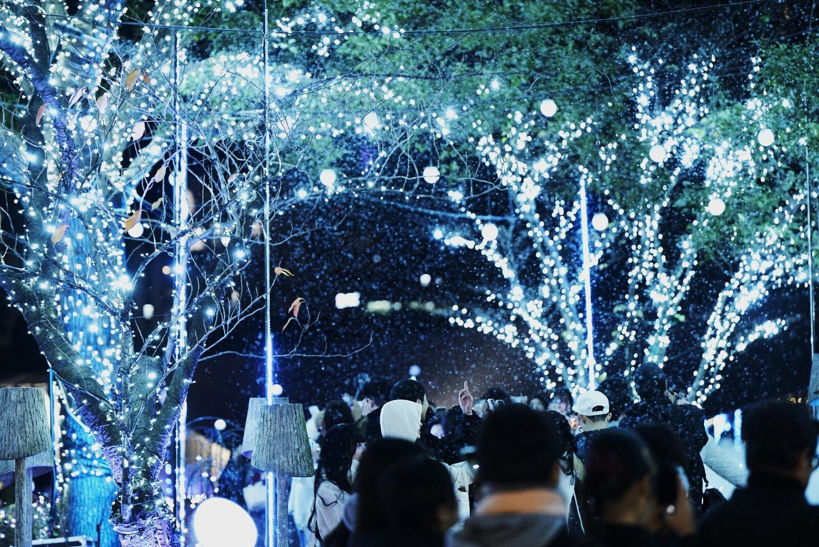 東京ミッドタウン“しゃぼん玉＆雪が舞う”クリスマスイルミネーション、マルシェ＆屋外スケートリンクも｜写真4