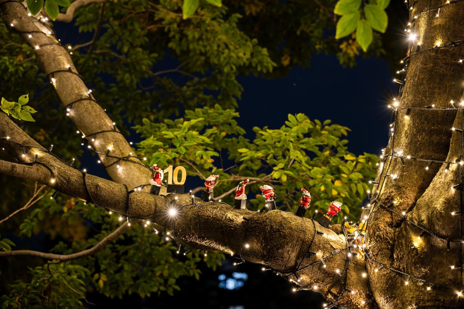 東京ミッドタウン“しゃぼん玉＆雪”が舞う25年クリスマスイルミネーション、屋外スケートリンクも｜写真23