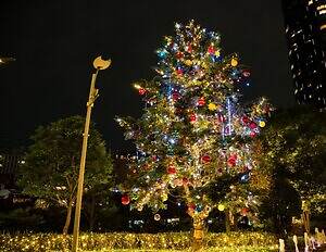 東京ミッドタウン“しゃぼん玉＆雪”が舞う25年クリスマスイルミネーション、屋外スケートリンクも｜写真24