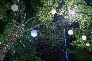 東京ミッドタウン“しゃぼん玉＆雪”が舞う25年クリスマスイルミネーション、屋外スケートリンクも｜写真14