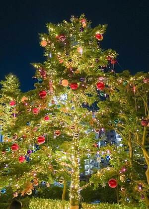 東京ミッドタウン“しゃぼん玉＆雪”が舞う25年クリスマスイルミネーション、屋外スケートリンクも｜写真4