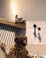 カルティエ(Cartier) ラブ アンリミテッド｜写真14