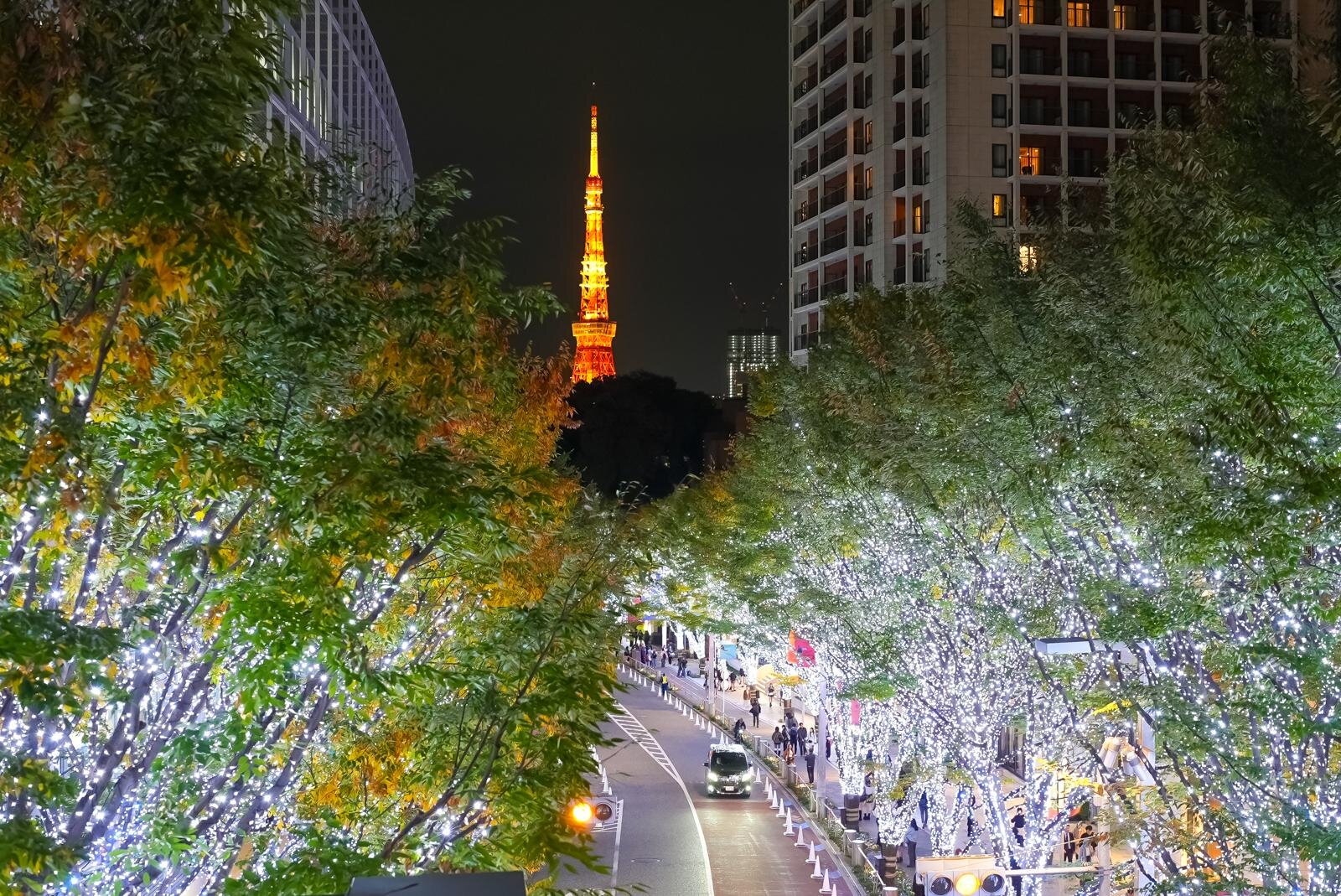 「けやき坂イルミネーション」25年も“白銀”の光の世界に、六本木ヒルズでクリスマスマーケットも｜写真2