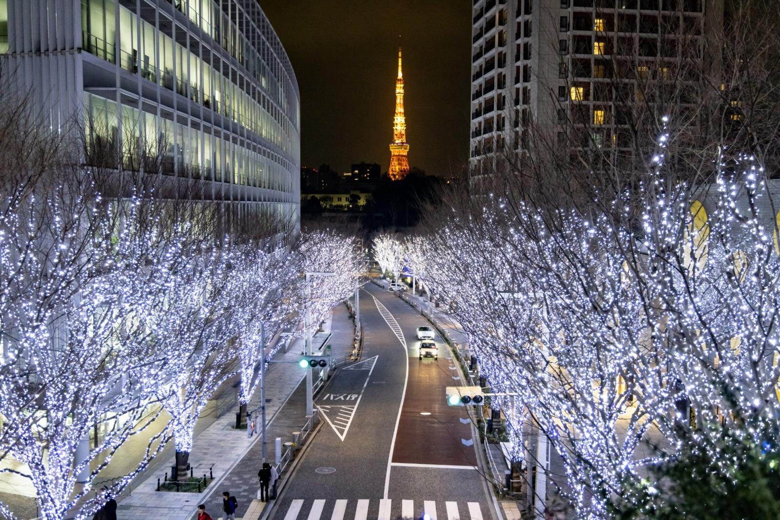 「けやき坂イルミネーション」25年も“白銀”の光の世界に、六本木ヒルズでクリスマスマーケットも｜写真2