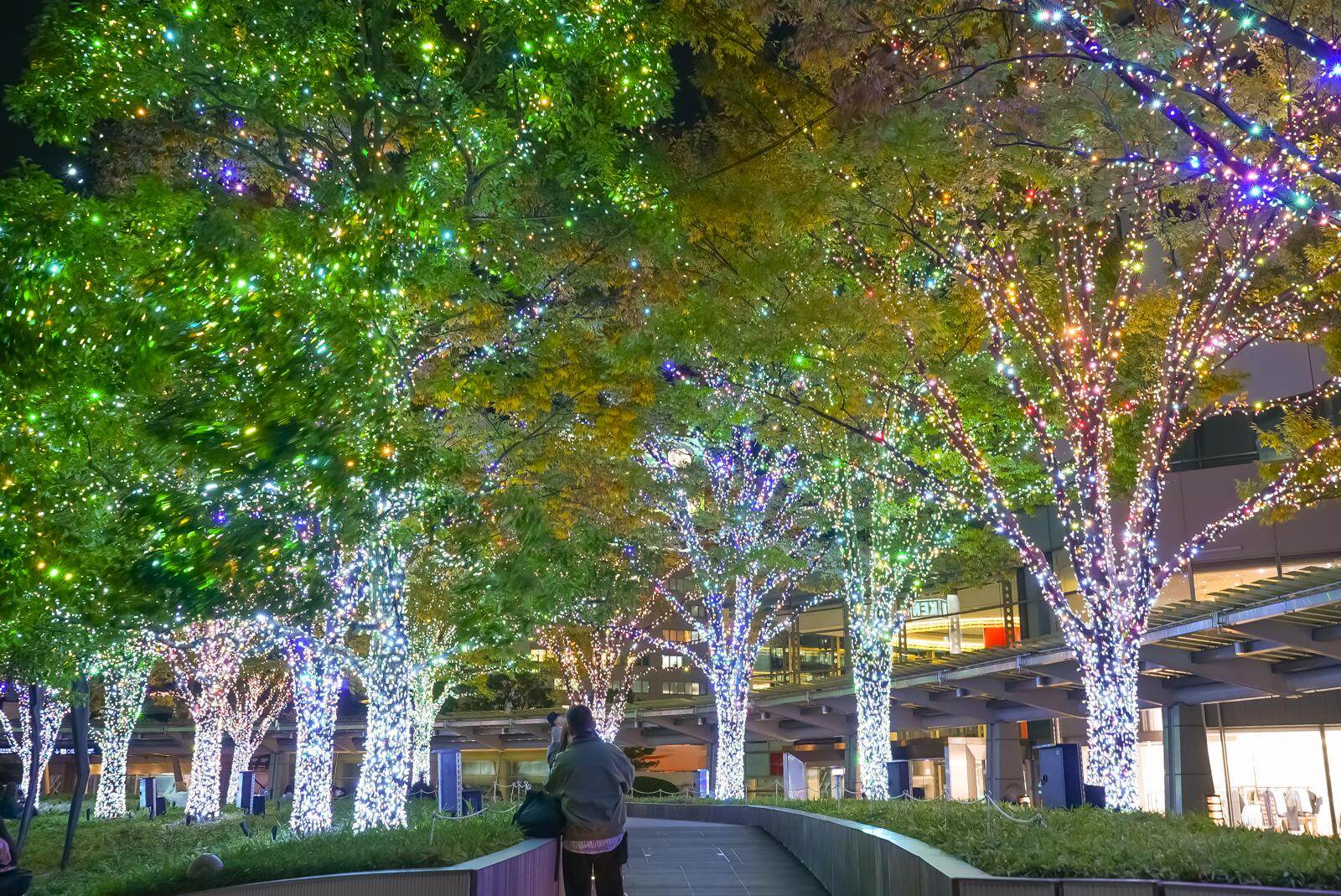 「けやき坂イルミネーション」25年も“白銀”の光の世界に、六本木ヒルズでクリスマスマーケットも｜写真5