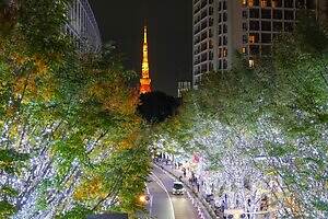 「けやき坂イルミネーション」25年も“白銀”の光の世界に、六本木ヒルズでクリスマスマーケットも|写真2