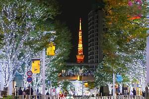 「けやき坂イルミネーション」25年も“白銀”の光の世界に、六本木ヒルズでクリスマスマーケットも|写真16