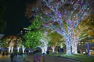 「けやき坂イルミネーション」25年も“白銀”の光の世界に、六本木ヒルズでクリスマスマーケットも|写真4