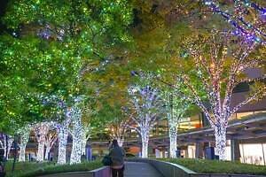 「けやき坂イルミネーション」25年も“白銀”の光の世界に、六本木ヒルズでクリスマスマーケットも|写真5