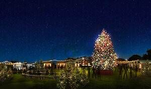 横浜赤レンガ倉庫25年クリスマスマーケットにドイツ料理や雑貨集結、巨大ツリーやイルミネーションも|写真25