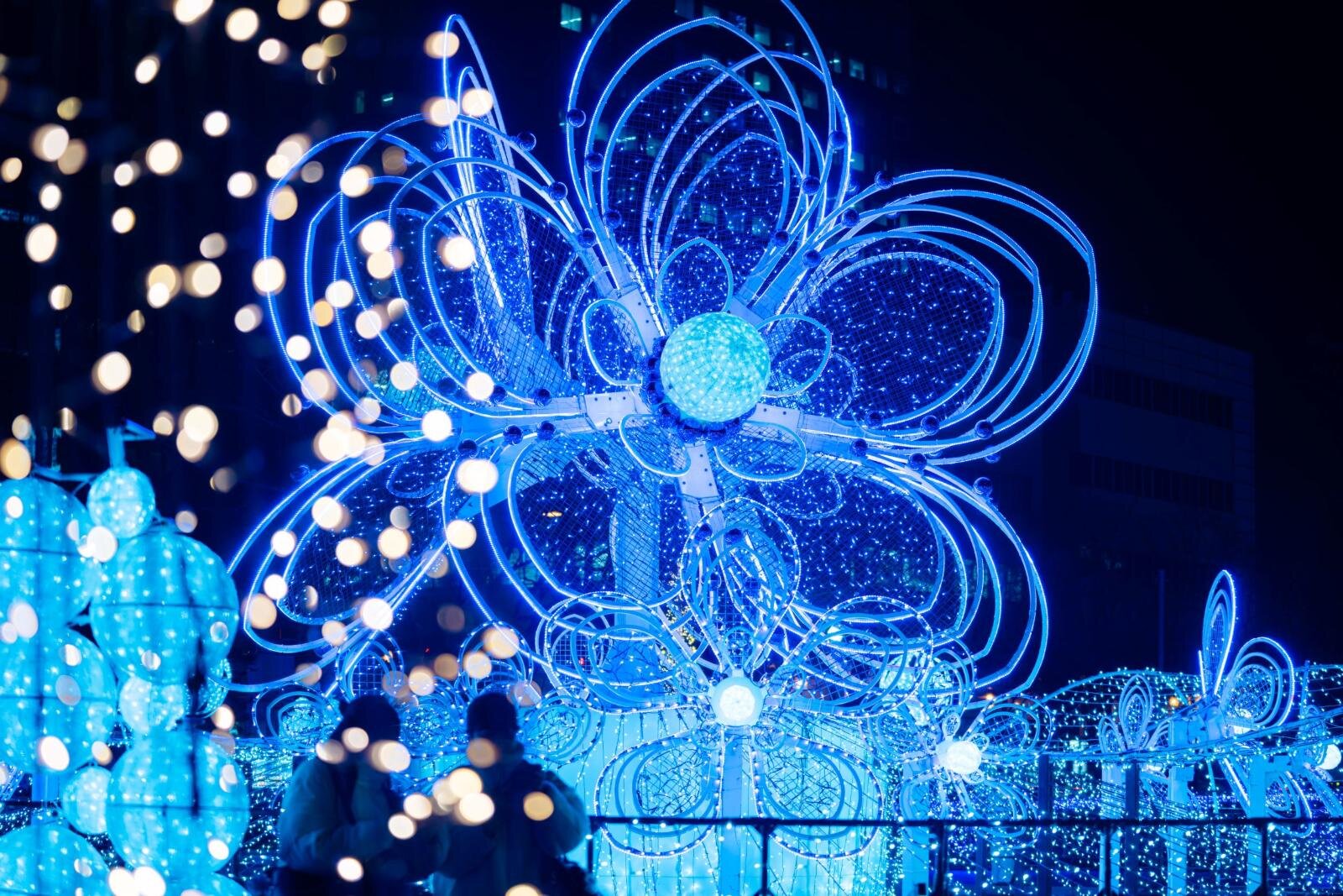 「2025さっぽろホワイトイルミネーション」北海道・札幌で、幻想的な光のオブジェや輝く並木道