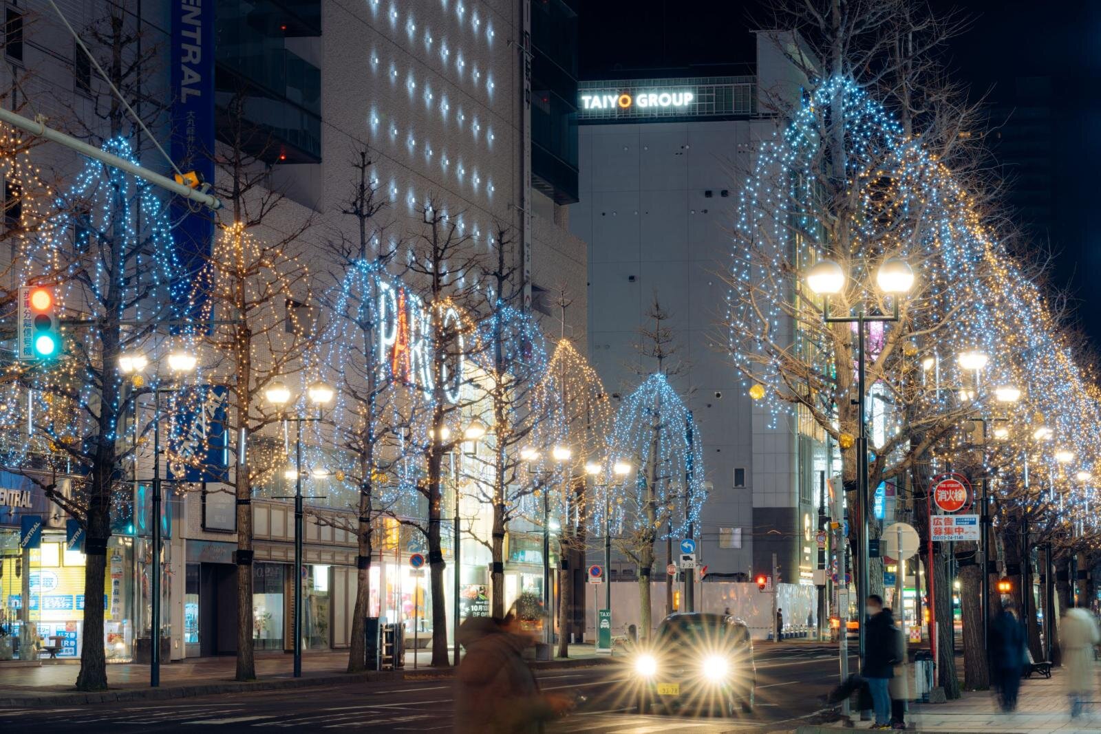 「2025さっぽろホワイトイルミネーション」北海道・札幌で、幻想的な光のオブジェや輝く並木道｜写真15