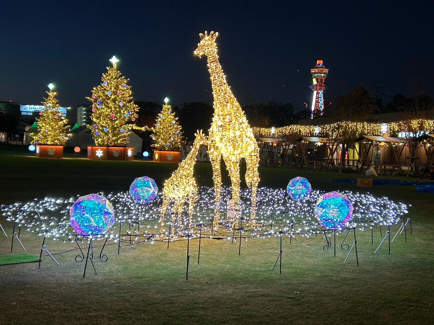 「クリスマスマーケット in 大阪 てんしば 2025」ツリー輝く空間にクリスマス雑貨＆グルメ｜写真3