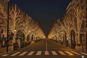 横浜公園の25年クリスマスイベント、イルミネーション煌めく大通り&ドイツの本場グルメ