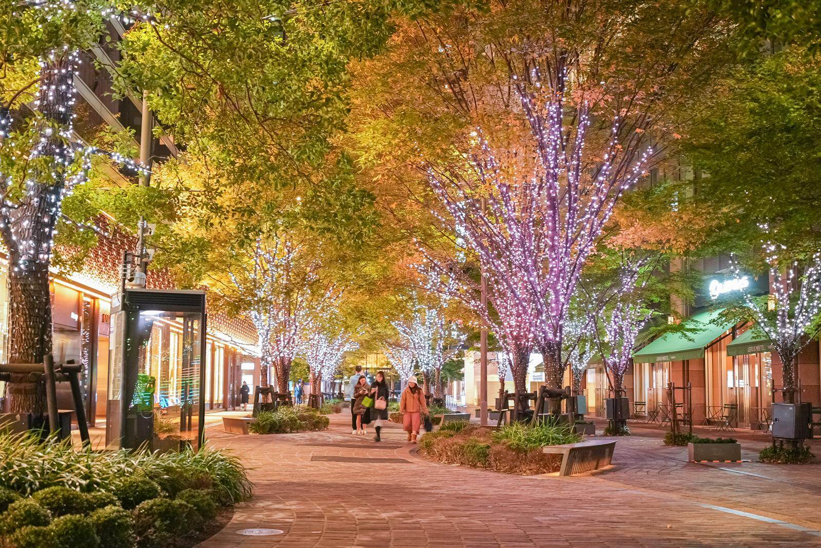 東京ミッドタウン日比谷25年イルミネーション、ツリーがディズニー映画『ズートピア2』仕様に｜写真10