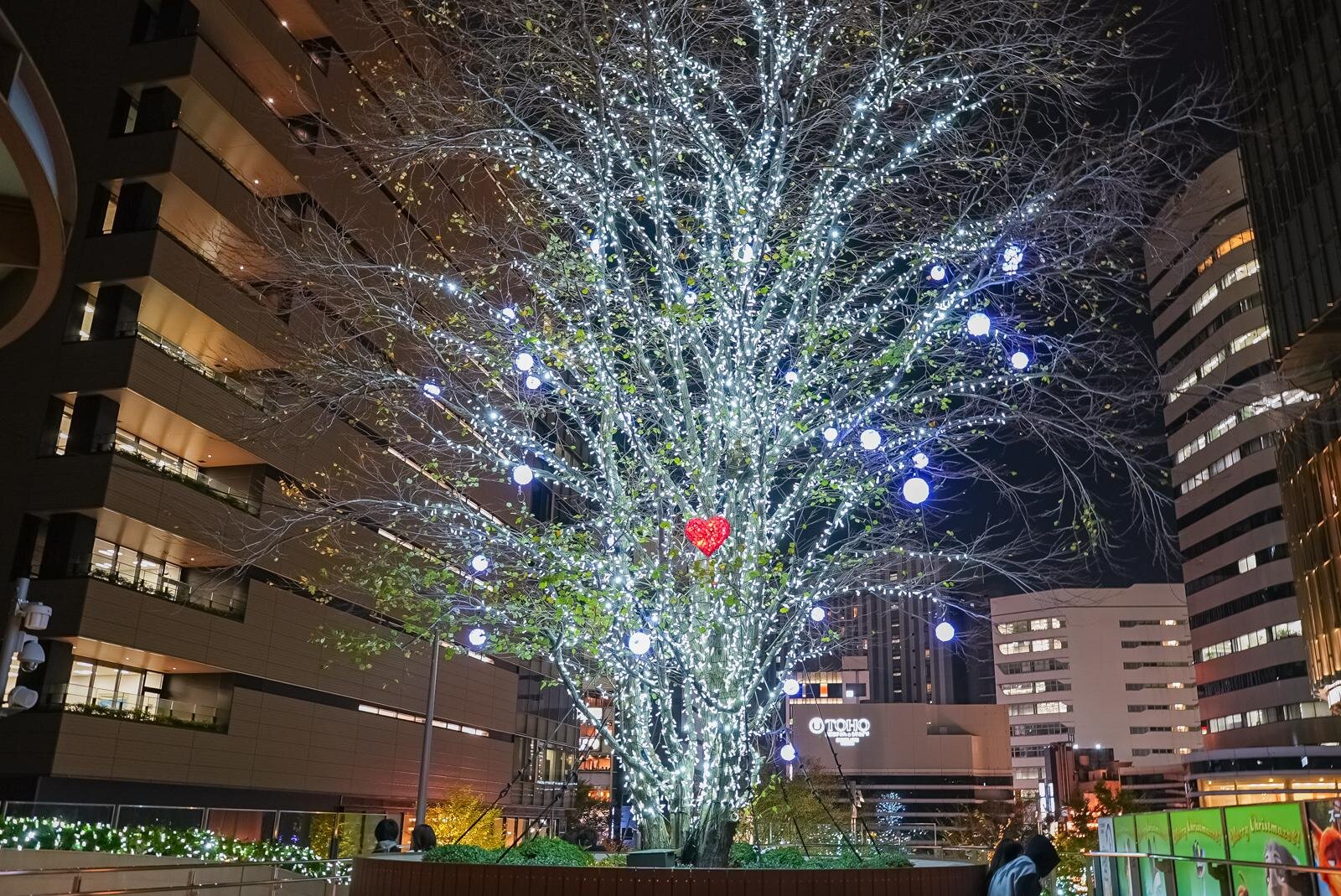 「エターナル・ハート・ツリー」 期間：2025年11月13日(木)～2026年2月15日(日)