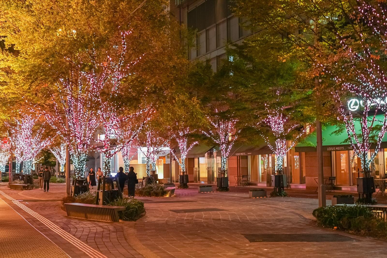 日比谷エリア イルミネーション 「ホットジャズ」
期間：2025年11月13日(木)～12月25日(木)