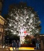 東京ミッドタウン日比谷25年イルミネーション、ツリーがディズニー映画『ズートピア2』仕様に｜写真24