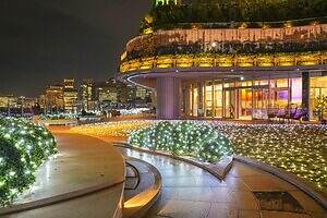 東京ミッドタウン日比谷25年イルミネーション、ツリーがディズニー映画『ズートピア2』仕様に｜写真17