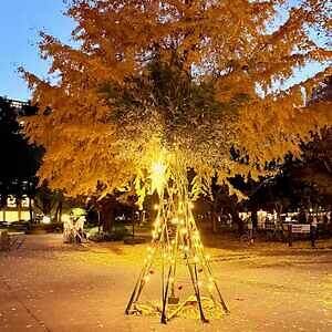 東京ミッドタウン日比谷25年イルミネーション、ツリーがディズニー映画『ズートピア2』仕様に｜写真27