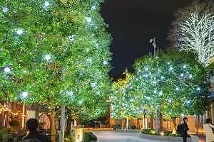 東京ミッドタウン日比谷25年イルミネーション、ツリーがディズニー映画『ズートピア2』仕様に｜写真8