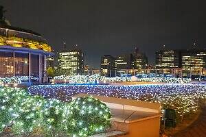 東京ミッドタウン日比谷25年イルミネーション、ツリーがディズニー映画『ズートピア2』仕様に｜写真14