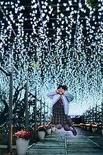 あしかがフラワーパーク2025年イルミネーション、“光と香りに包まれる”大藤や輝くバラ園｜写真20