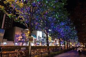 「大阪・光の饗宴2025」御堂筋イルミネーションで並木道ライトアップ、中之島に"光のトンネル”も｜写真4