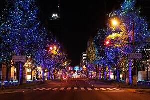 「大阪・光の饗宴2025」御堂筋イルミネーションで並木道ライトアップ、中之島に"光のトンネル”も｜写真7