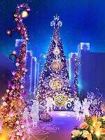 大阪・ひらかたパーク“バラ”が彩る25年イルミネーション、上空にランタン浮かぶ広場＆巨大ツリー｜写真1