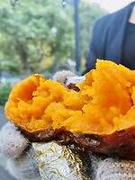 麻布台ヒルズ「やきいも広場」極蜜焼き芋＆希少品種"ホワイトスイート"など大集結｜写真9