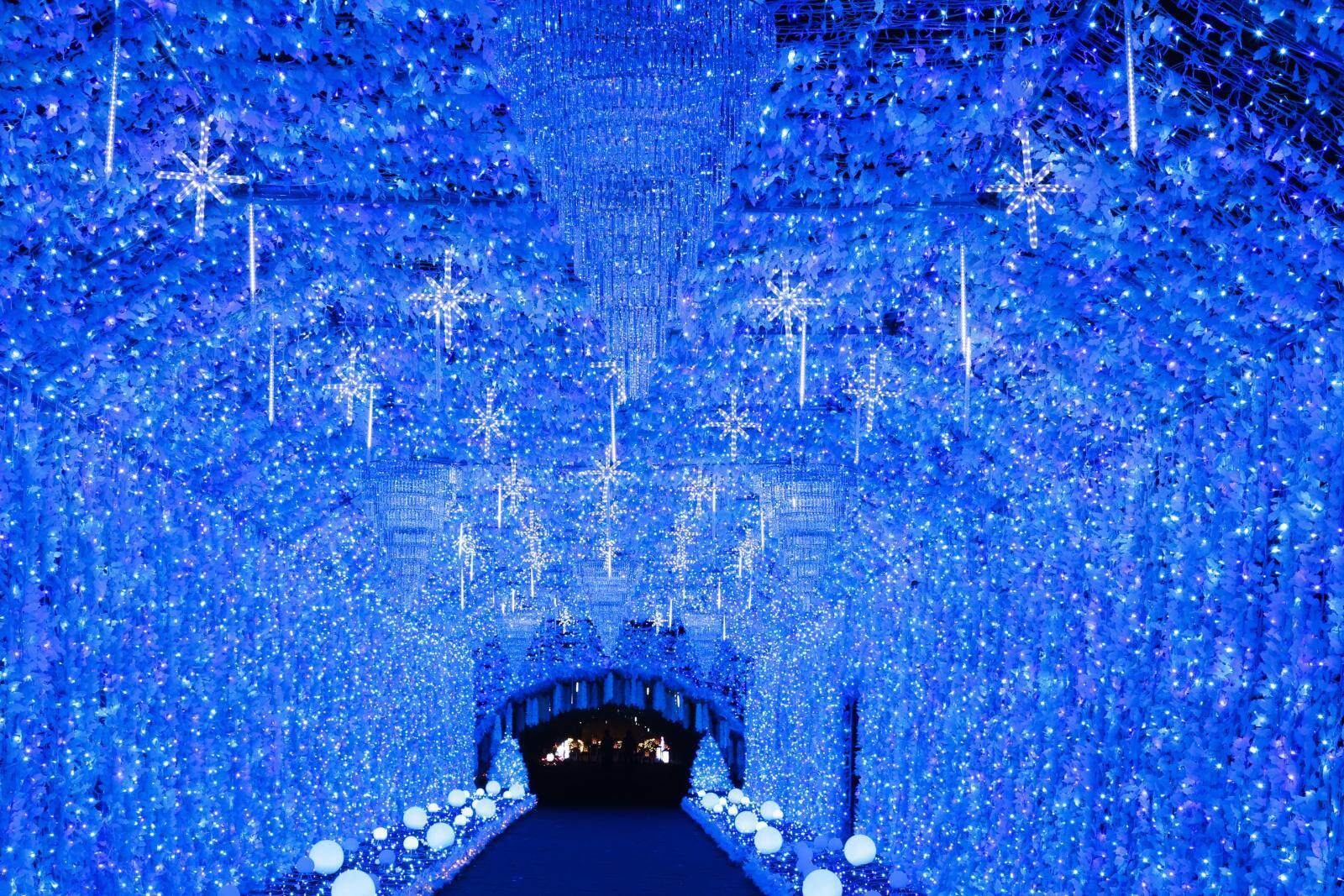 富士山｜御殿場高原 時之栖25年イルミネーション「ひかりのすみか」富士山ツリーや約300mの"光のトンネル”