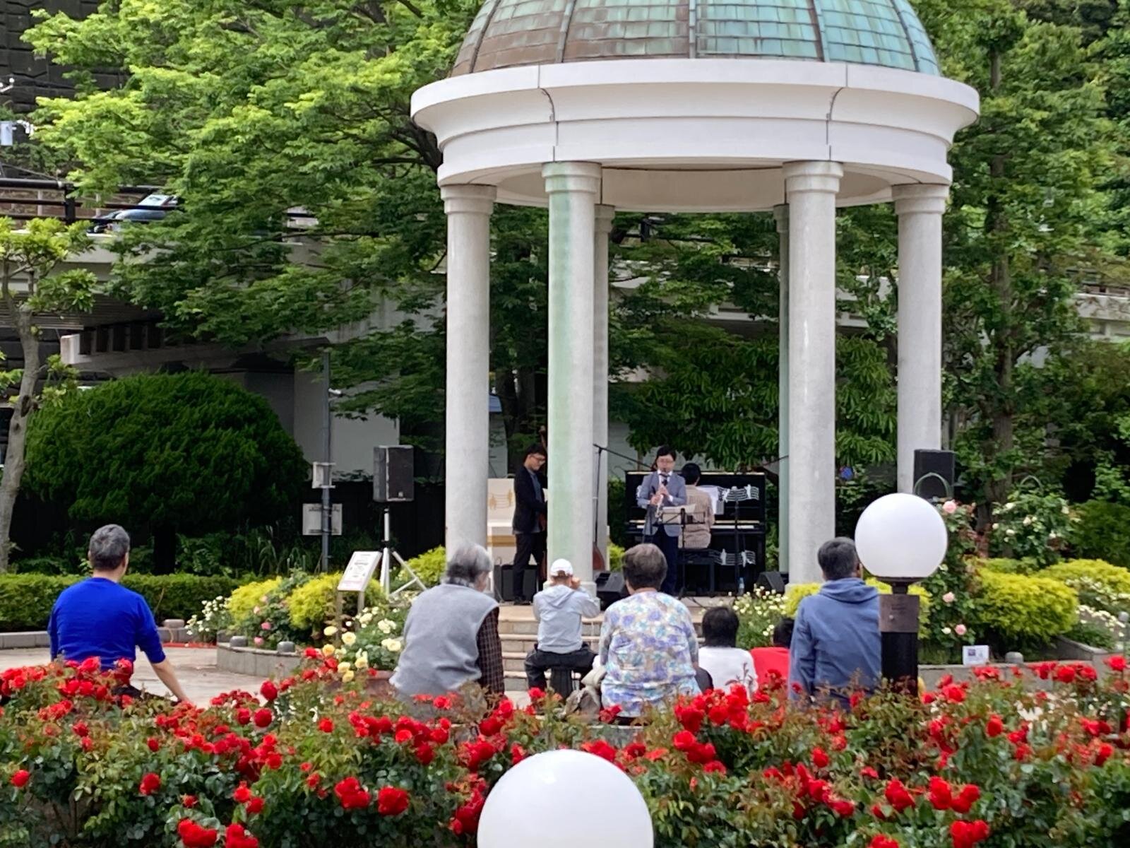神奈川・横須賀市ヴェルニー公園「秋のローズフェスタ」約1,300株の“秋バラ”が海を望む庭園に｜写真11