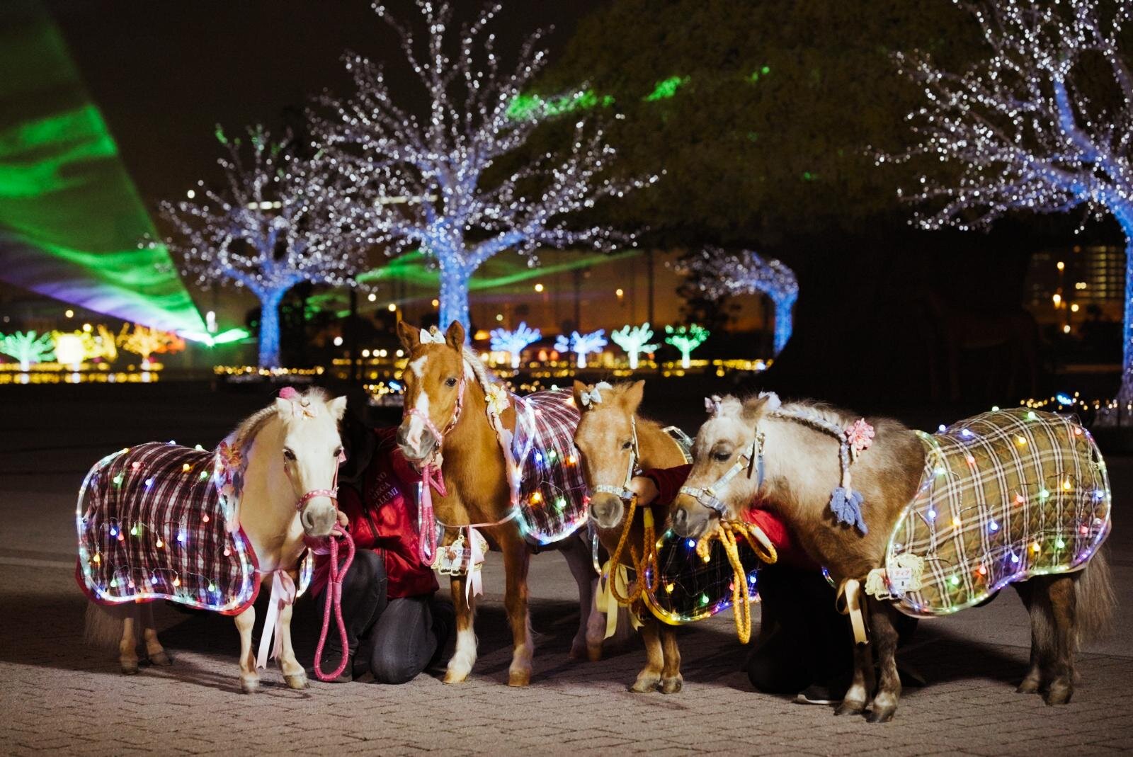 「東京メガイルミ」大井競馬場25年イルミネーション、音と光のショーや和のきらめきエリア｜写真5