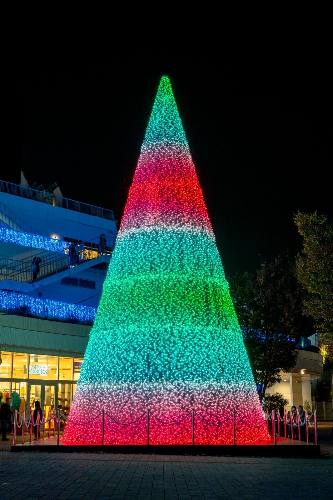 テラスモール湘南のイルミネーション、“湘南の海景色着想”毎日色が変わる巨大ツリー｜写真9