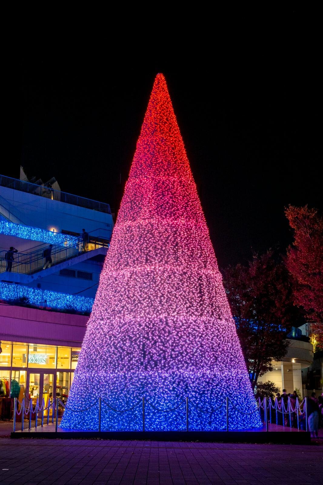 テラスモール湘南のイルミネーション、“湘南の海景色着想”毎日色が変わる巨大ツリー｜写真5