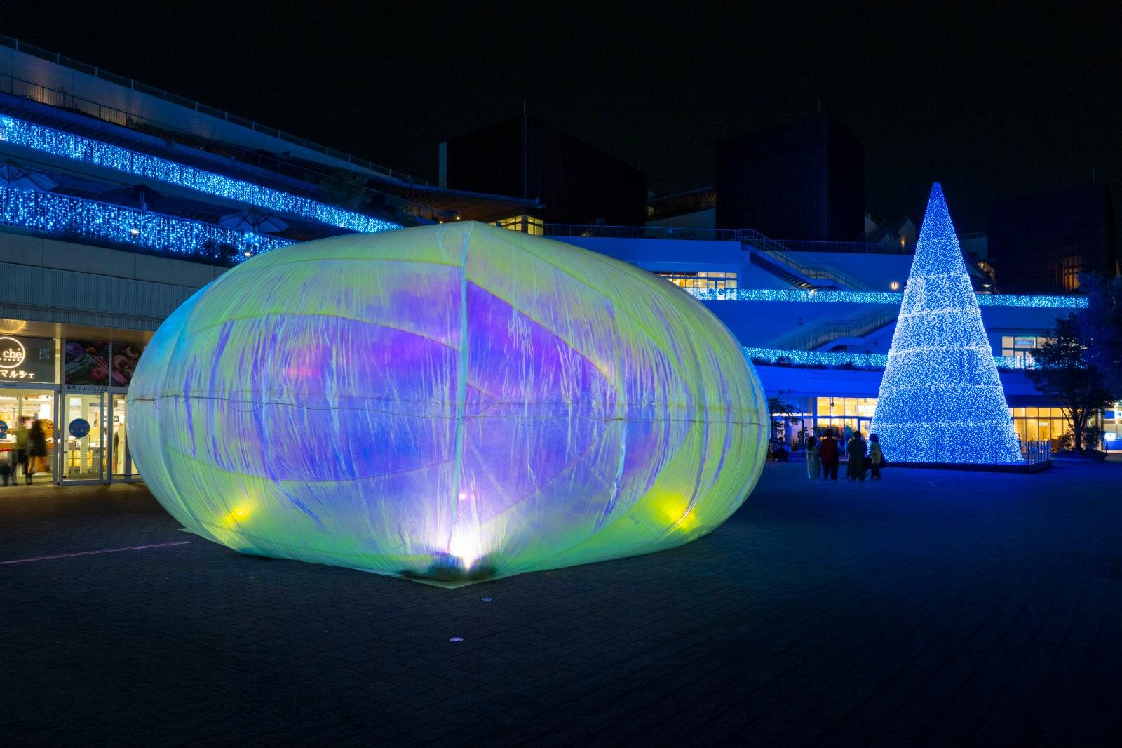 テラスモール湘南のイルミネーション、“湘南の海景色着想”毎日色が変わる巨大ツリー｜写真15