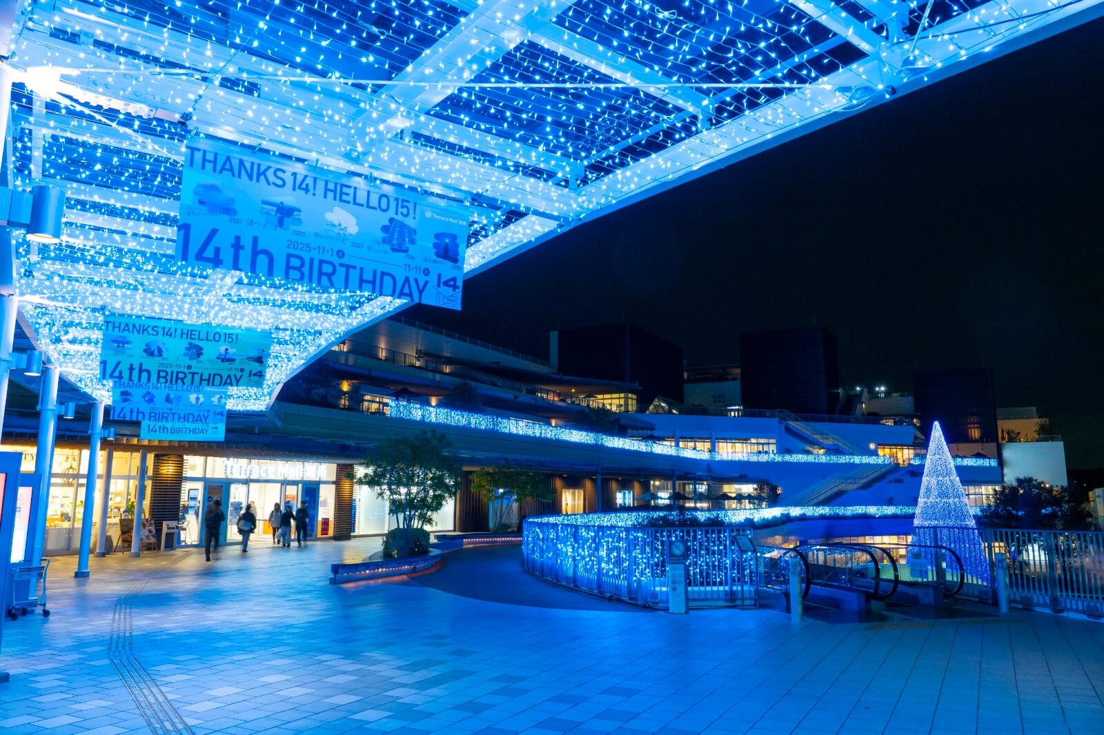 テラスモール湘南のイルミネーション、“湘南の海景色着想”毎日色が変わる巨大ツリー｜写真14