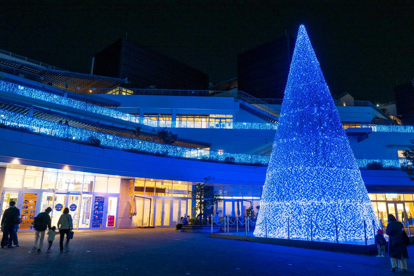 テラスモール湘南のイルミネーション、“湘南の海景色着想”毎日色が変わる巨大ツリー｜写真13