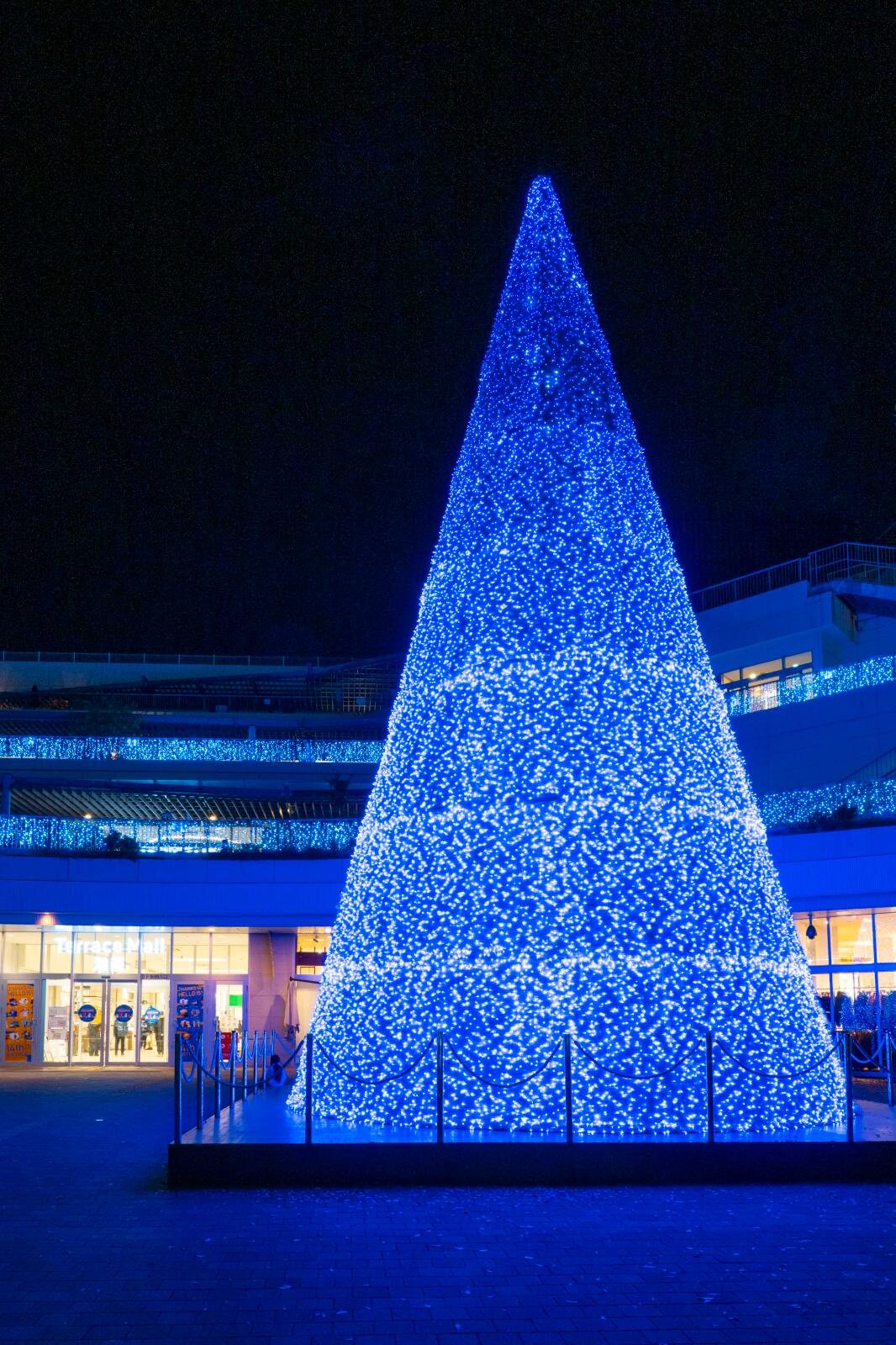 テラスモール湘南のイルミネーション、“湘南の海景色着想”毎日色が変わる巨大ツリー｜写真16
