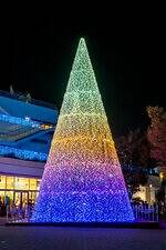 テラスモール湘南のイルミネーション、“湘南の海景色着想”毎日色が変わる巨大ツリー｜写真8