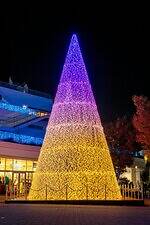 テラスモール湘南のイルミネーション、“湘南の海景色着想”毎日色が変わる巨大ツリー｜写真7