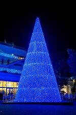 テラスモール湘南のイルミネーション、“湘南の海景色着想”毎日色が変わる巨大ツリー｜写真4