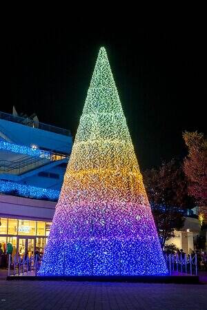 テラスモール湘南のイルミネーション、“湘南の海景色着想”毎日色が変わる巨大ツリー｜写真8