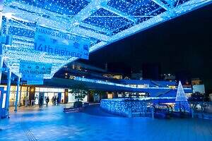 テラスモール湘南のイルミネーション、“湘南の海景色着想”毎日色が変わる巨大ツリー｜写真14